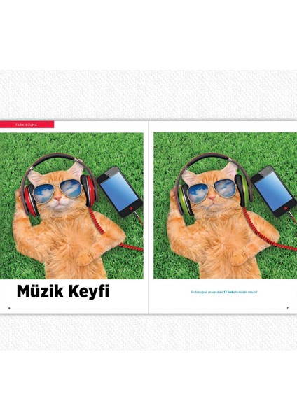 Photo Puzzlemania! Eğlenceli Etkinlikler 6 - 9 Yaş modelleri