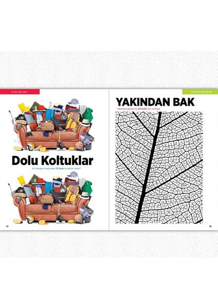 Photo Puzzlemania! Eğlenceli Etkinlikler 6 - 9 Yaş indirimleri