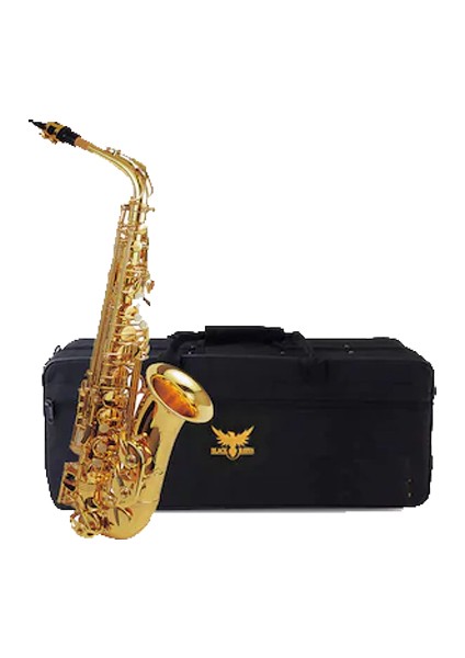 Alto Saksafon Gold BR-AS100L.