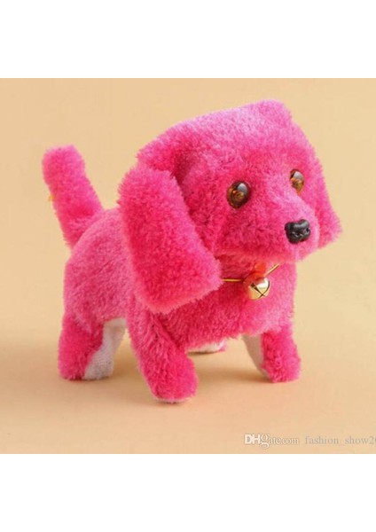 Pilli Köpek