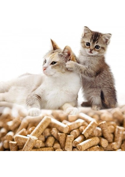 Doğal Kedi Kumu Çam Pellet 40 Lt modelleri