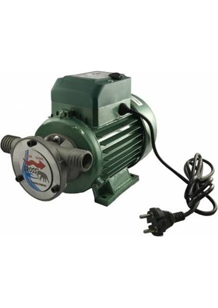 1" 220V Profesyonel Sıvı Aktarma Pompası