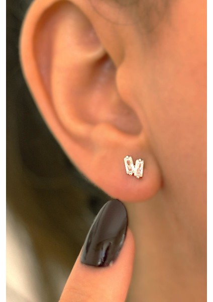 Baget Taşlı Küpe fiyatları