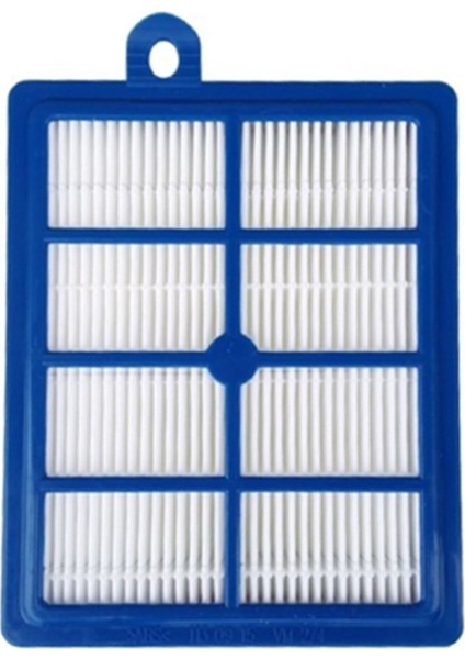 Philips FC 9194 Performer Pro Süpürge Hepa Filtresi