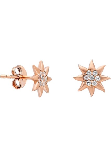 925 Ayar Minik Yıldız Kadın Gümüş Küpe