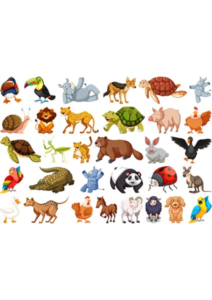 Kt Decoration Hayvanlar Set Xxl Duvar Sticker