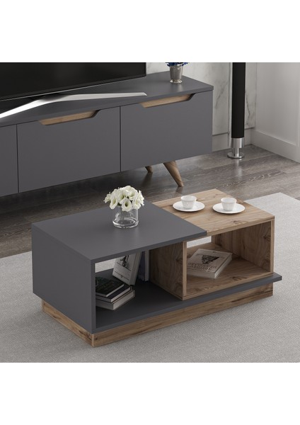 Concept Sehpa
