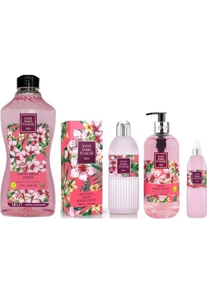 Japon Kiraz Çiçeği 4'lü Set
