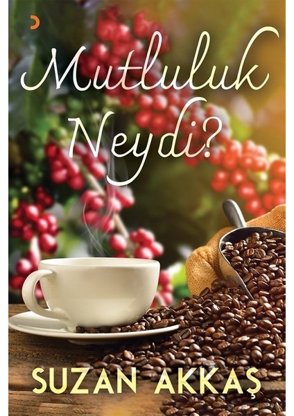 Mutluluk Neydi? - Suzan Akkaş