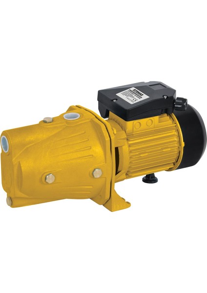 RTM875 Su Pompası 1100 Watt 1.5 HP