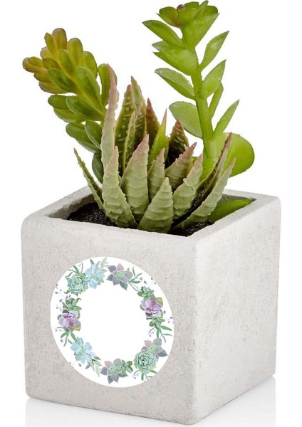 Sukulent Saksı Etiketi