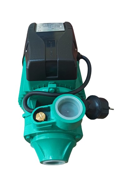 Italia QB80 Santrifüj Pompa 1 hp Bakır Sargı