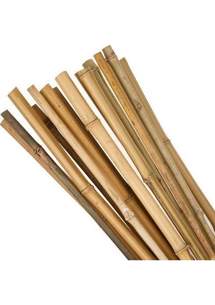 Nettenevime Bambu Sopası 120 cm 18-20MM Bambu Çubuğu 5 Adet