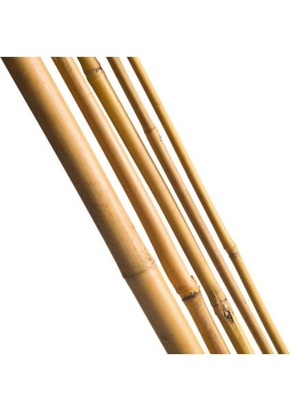 Nettenevime Bambu Sopası 120 cm 18-20MM Bambu Çubuğu 5 Adet