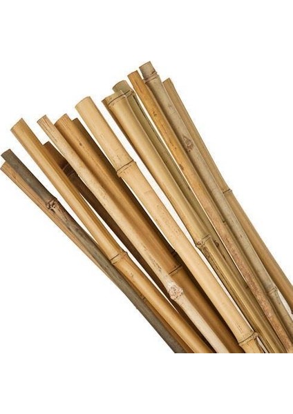 Bambu Sopası 240 cm 18-20MM Bambu Çubuğu 5 Adet
