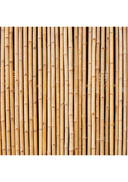 Bambu Sopası 240 cm 18-20MM Bambu Çubuğu 5 Adet