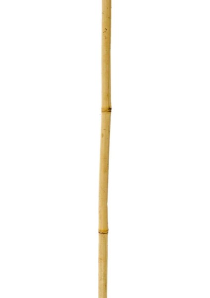 Bambu Sopası 240 cm 18-20MM Bambu Çubuğu 5 Adet