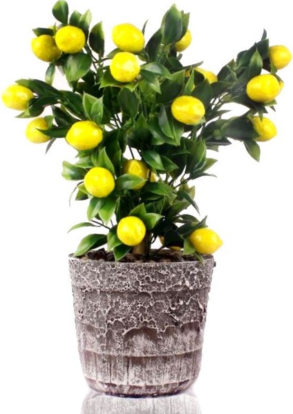 Yapay Çiçek Gri Seramik Saksıda Limon Ağacı
