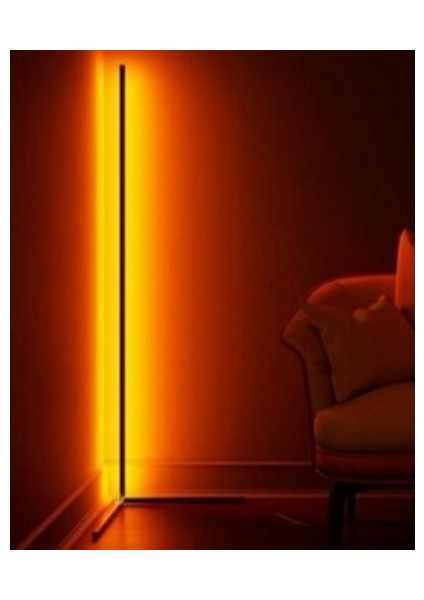 Dekoratif LED Lambader Uzaktan Kumandalı 256 Renk