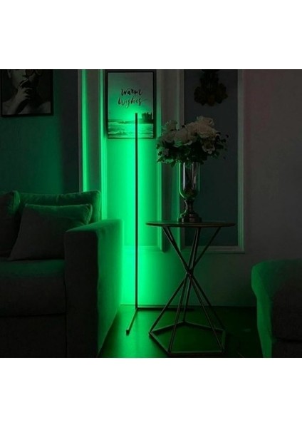 Dekoratif LED Lambader Uzaktan Kumandalı 256 Renk modelleri