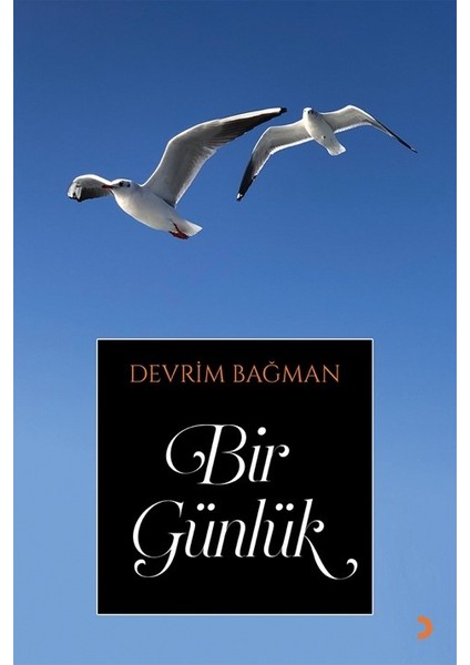 Bir Günlük - Devrim Bağman