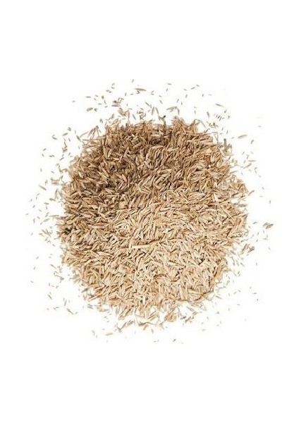 4m Gold %30 Su Tasarruflu Çim Tohumu 1 Kg