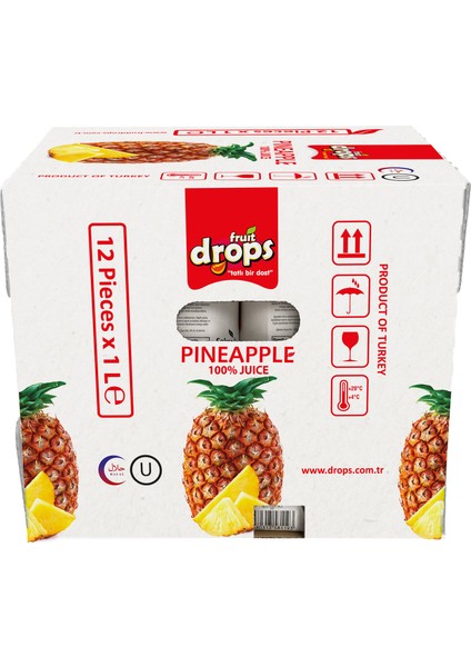 Ananas Suyu 1 Lt x 12'li