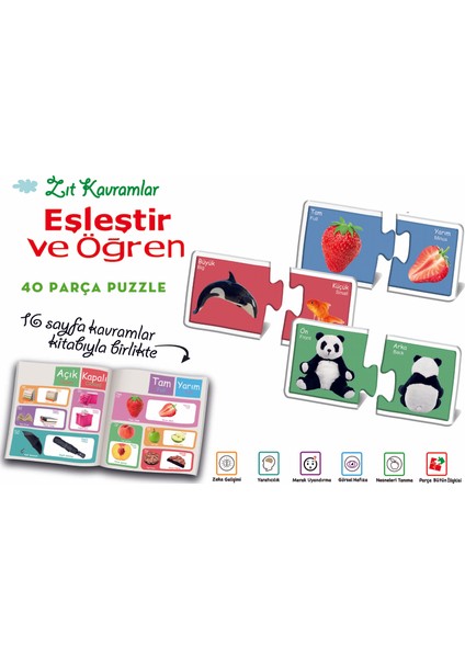 Diy-Toy Eşleştir Öğren Zıt Kavramlar