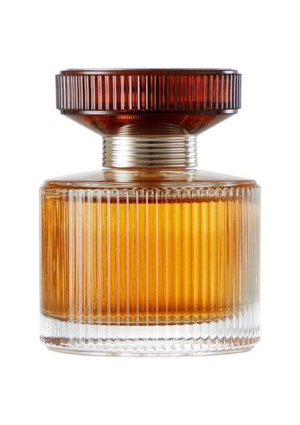 Amber Eıixir Edp 50 ml Erkek Parfümü