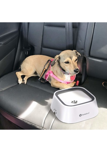 Kedi/Köpek Sıçrama Korumalı Su Kabı indirimleri