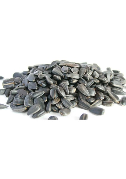 Papağan Çekirdek Yemi 500 gr Ufak Taneli