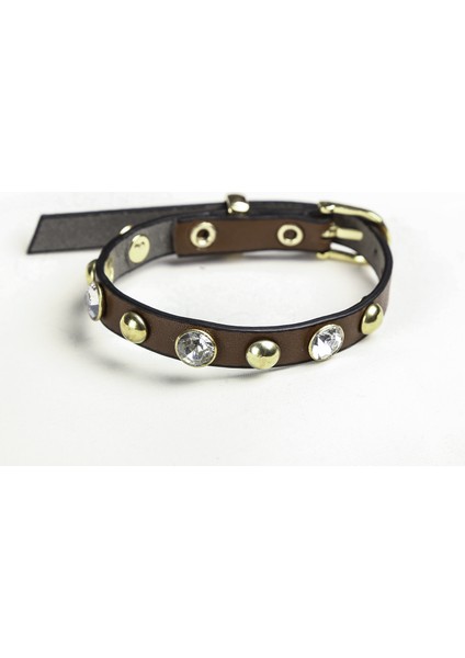 Kahverengi Rivet + Taşlı Rivetli Soft 1 cm Gold Metal Tokalı Kedi Tasması