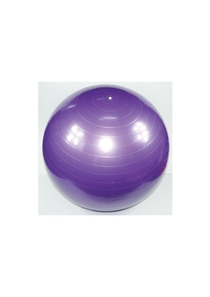 Pilates Topu + Pompa  (65 cm)