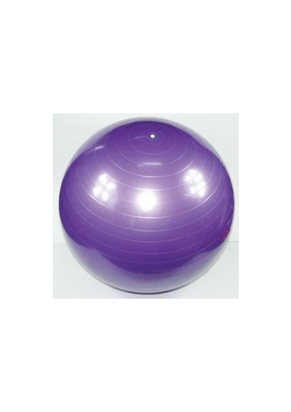 Pilates Topu + Pompa  (65 cm)