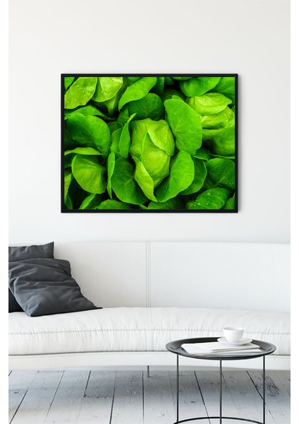 Roka Yaprakları Mutfak Çerçeveli Tablo 21 x 30 cm