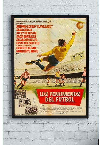 Mexican Futbol Çerçeveli Tablo 21 x 30 cm