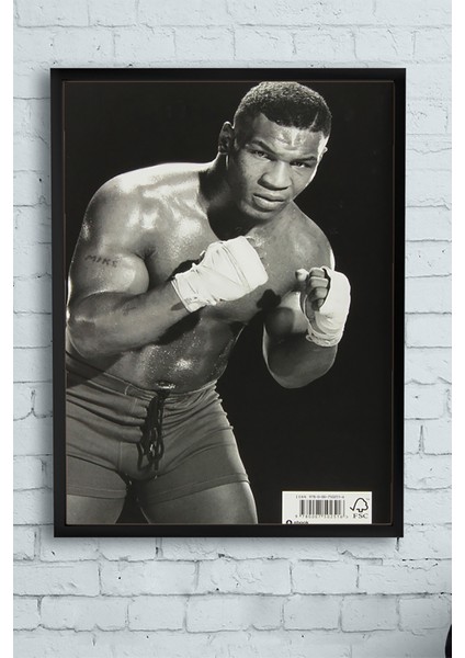 Mike Tyson Dövüş Çerçeveli Tablo 2 21 x 30 cm