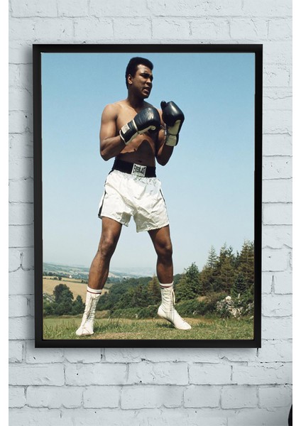 Muhammed Ali Dövüş Çerçeveli Tablo 2 30 x 40 cm