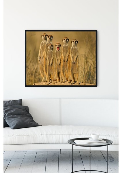 Mirketler Eğlenceli Mizahi Çerçeveli Tablo 21 x 30 cm