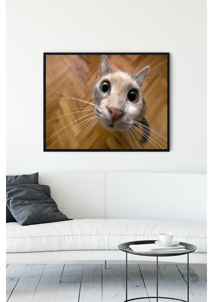 Kedi Eğlenceli Mizahi Çerçeveli Tablo 4 21 x 30 cm