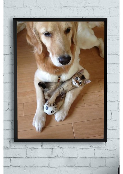Kedi Köpek Hayvan Çerçeveli Tablo 21 x 30 cm