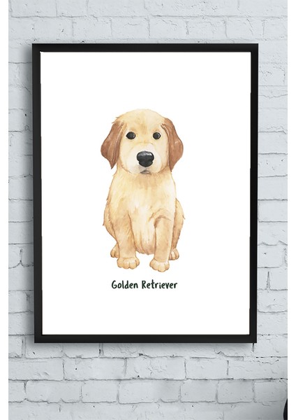 Golden Retriever Çocuk Odası Çerçeveli Tablo 30 x 40 cm