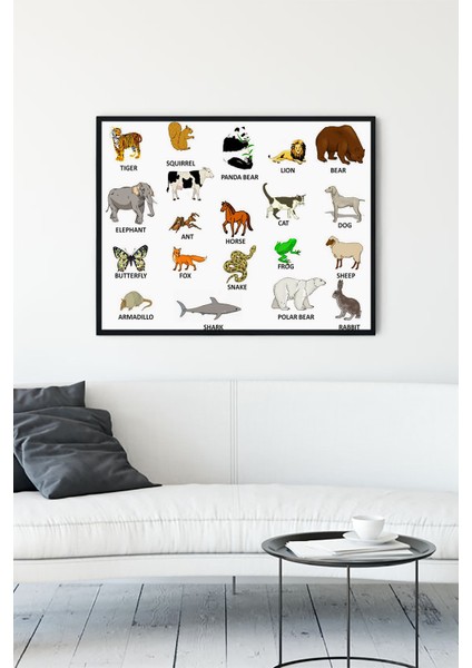 İngilizce Hayvanlar Eğitim Çerçeveli Tablo 21 x 30 cm