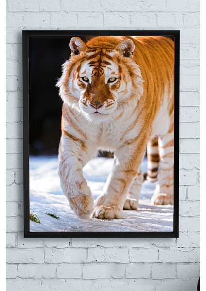 Kaplan Hayvan Çerçeveli Tablo 21 x 30 cm