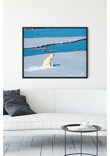 Kutup Ayısı Hayvan Çerçeveli Tablo 21 x 30 cm