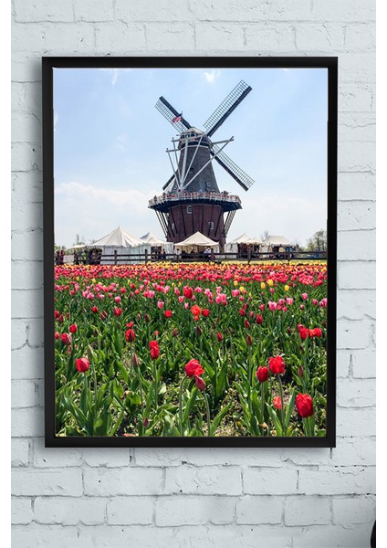 Hollanda Manzara Çerçeveli Tablo 2 21 x 30 cm