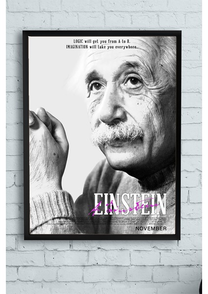 Einstein Bilimsel Çerçeveli Tablo 21 x 30 cm