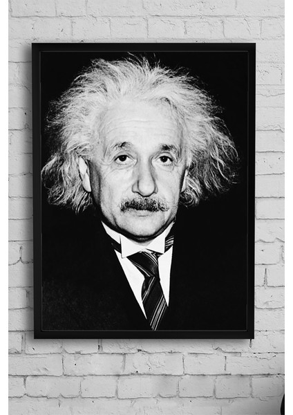 Einstein Bilimsel Çerçeveli Tablo 2 30 x 40 cm