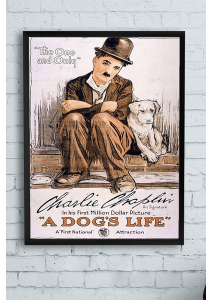 A Dogs Life Hayvan Çerçeveli Tablo Charlie Chaplin Film Afişi 21 x 30 cm
