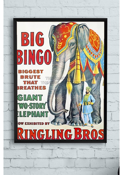 Big Bingo Vintage Çerçeveli Tablo 40 x 50 cm